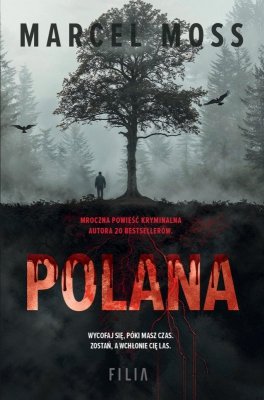 Polana wyd. 2