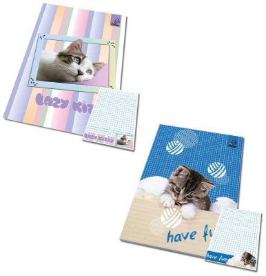 Notes A6 50k. kratka z poddrukiem Best friend koty, Bee-Bee