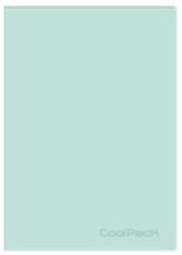 Zeszyt A5 60 k. kratka PP Pastel Powder Mint Coolpack, Patio