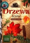 Drzewa leśne Edukacja i zabawa