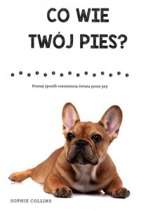 Co wie Twój pies