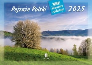 Kalendarz 2025 WL03 Pejzaże Polski rodzinny