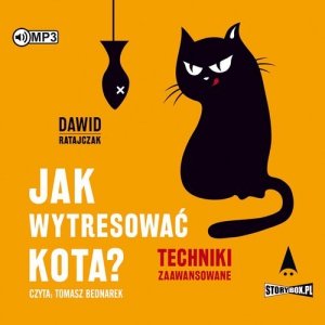 Jak wytresować kota? Techniki zaawansowane