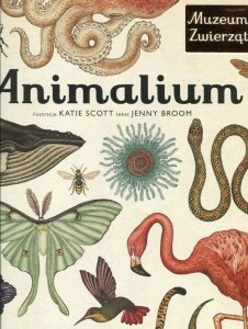 Animalium