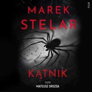 Kątnik - audiobook