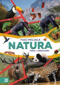 Fascynująca natura