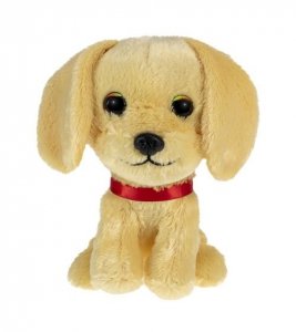 Lumo Golden retriever Molly classic