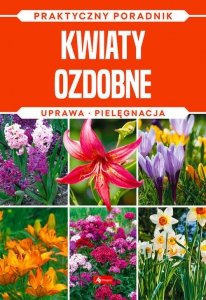 Kwiaty ozdobne Natura