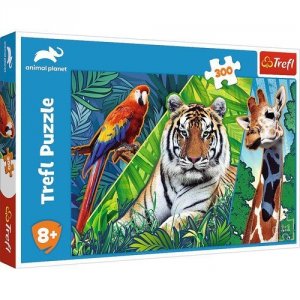 Puzzle 300 Niesamowite zwierzęta Animal Planet