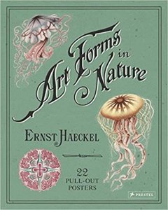 Art Forms in Nature Poster Book