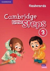 Cambridge Little Steps 3 Flashcards