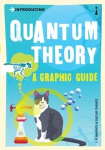 Introducing Quantum Theory a graphic guide