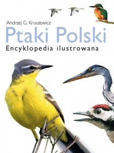 Ptaki Polski. Encyklopedia ilustrowana (EBOOK)