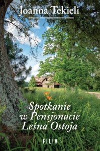 Spotkanie w Pensjonacie Leśna Ostoja (EBOOK)