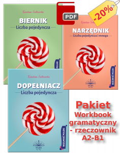 Pakiet. Workbook gramatyczny - rzeczownik A2-B1 (E-BOOK)
