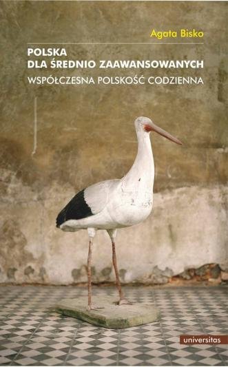 Polska dla średnio zaawansowanych. Współczesna polskość codzienna (EBOOK PDF)