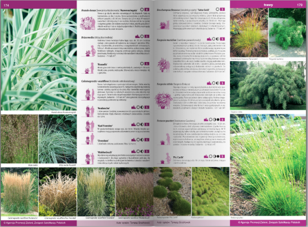 KATALOG BYLIN II Kwiaty, trawy i paprocie