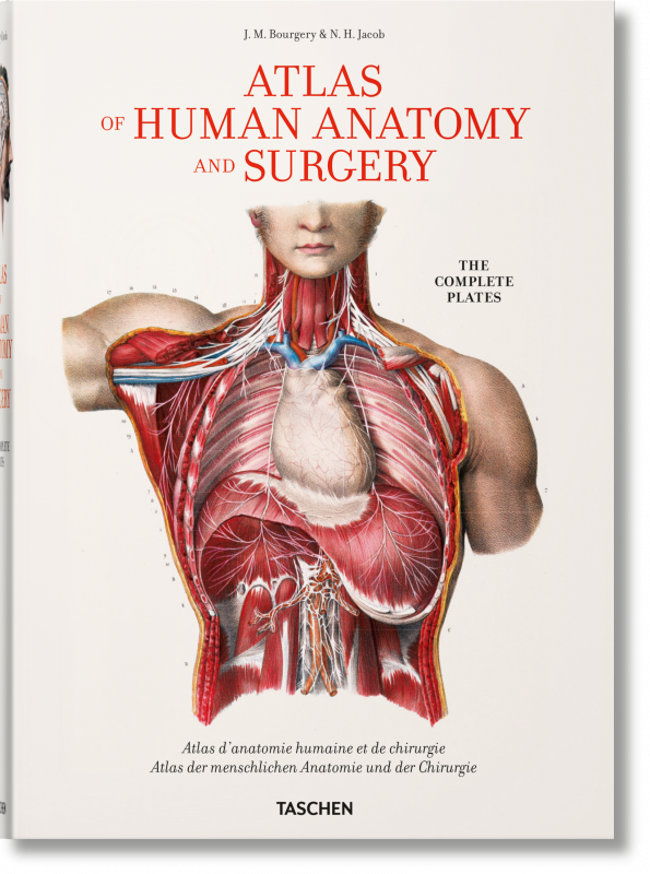 Bourgery. Atlas of Human Anatomy and Surgery wer. angielska