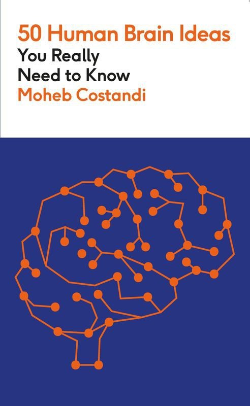 50 Human Brain Ideas You Really Need to Know wer. angielska
