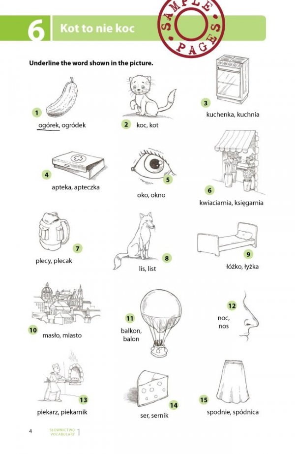 Testuj swój polski. Słownictwo 1 + audiofiszki i fiszki