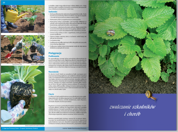 KATALOG BYLIN II Kwiaty, trawy i paprocie