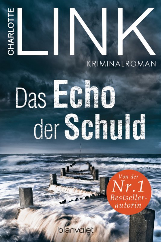 Das Echo der Schuld. 2024 Ausgabe