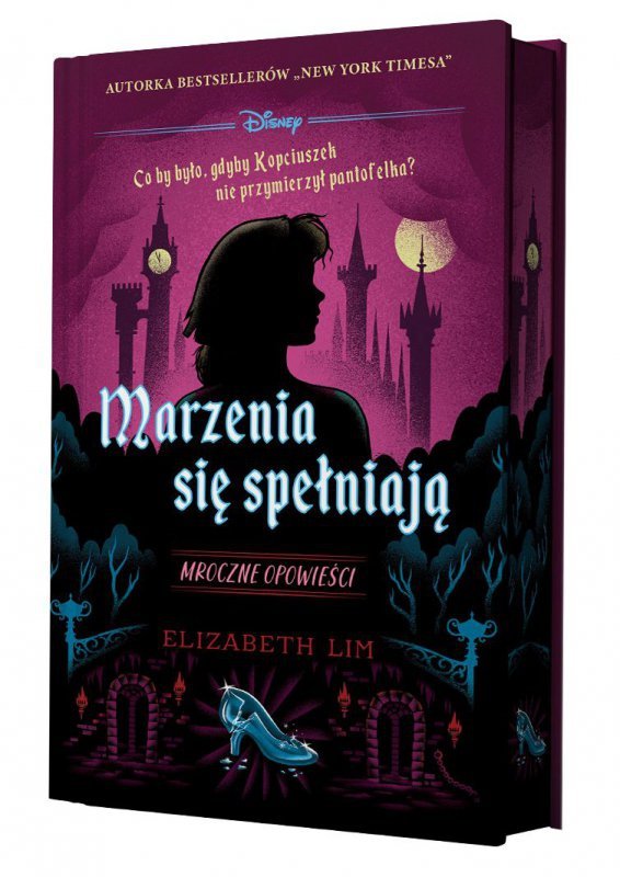 Marzenia się spełniają. Mroczne opowieści. Edycja kolekcjonerska