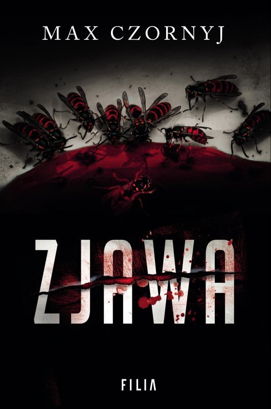 Zjawa. Komisarz Eryk Deryło. Tom 6