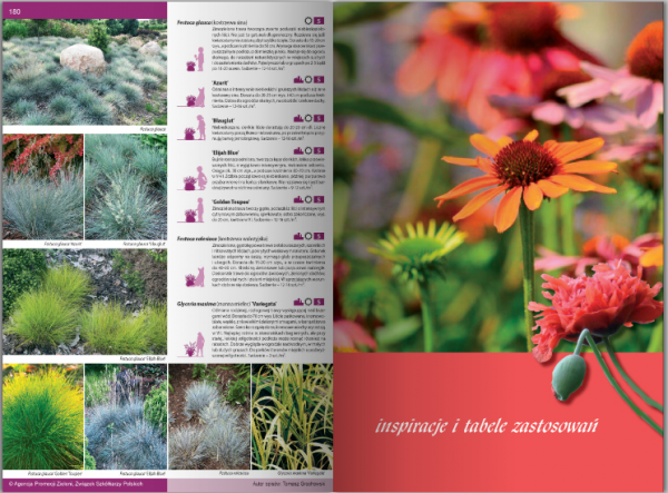 KATALOG BYLIN II Kwiaty, trawy i paprocie