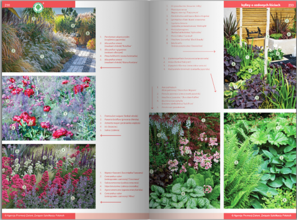 KATALOG BYLIN II Kwiaty, trawy i paprocie