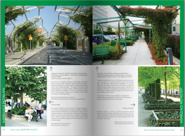 Zielone Miasto. Zieleń Przy Ulicach 