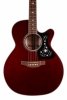 TAKAMINE GN75CE-WR