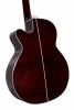TAKAMINE GN75CE-WR