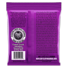 ERNIE BALL 2250
