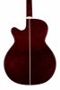 TAKAMINE GN75CE-WR
