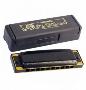 HOHNER D PRO HARP