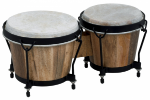 CLUB SALSA BONGO