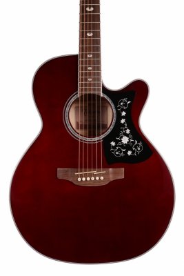 TAKAMINE GN75CE-WR