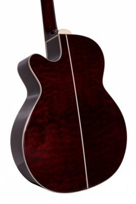 TAKAMINE GN75CE-WR