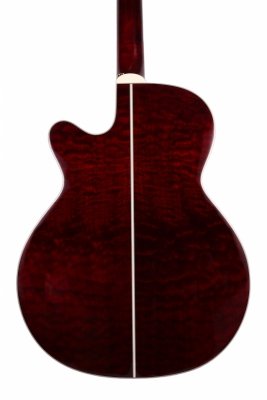 TAKAMINE GN75CE-WR