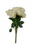 Bukiet róża x 7 kwiatów MIX - 20TJ026