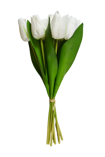 Tulipan bukiet z gumowym liściem 7 szt. MIX - 20YW030