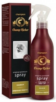 CHAMP-RICHER (CHAMPION) spray zwiększający objętość 250 ml