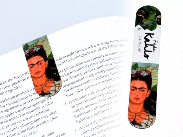 Komplet 4 zakładek magnetycznych - Frida Kahlo