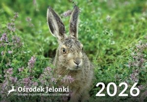 Kalendarz trójdzielny 2026 - #5 
