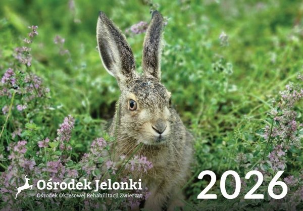 Kalendarz trójdzielny 2026 - #5