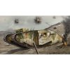 Airfix 02337V WWI Female Tank -1/76