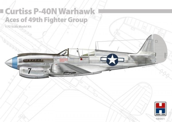 Hobby 2000 48001 P-40N Warhawk Aces of The 49th Fighter Group 1/48