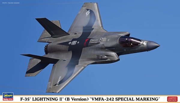 Hasegawa 02499 1/72 F-35 Lightning II (B Version) "VMFA-242 Special Marking"