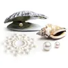 Biżuteria na piersi - Bijoux Indiscrets Mimi Pearl